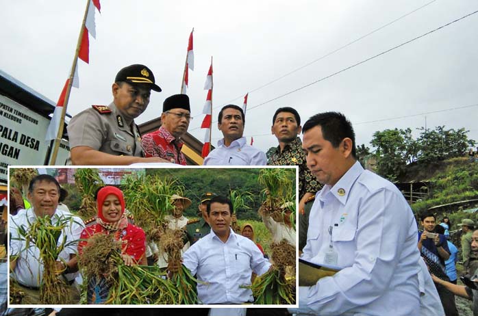 Mentan Naik Mobil Bak Terbuka Demi Swasembada Bawang Putih 
